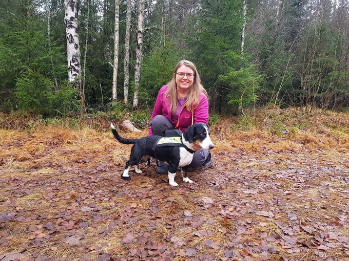 Årets Småhund 2021 Drever SE22407/2020 Silvärkallans Wendy Eier: Linda Alice Kristiansen
